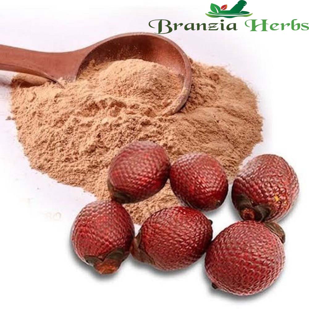 Phyto Herbal Brown Aguaje Fruit Extract,