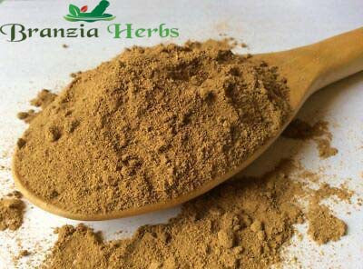 Natural Java Tea Orthosiphon Aristatus Extract