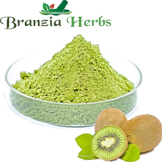 Kiwi seed Powder