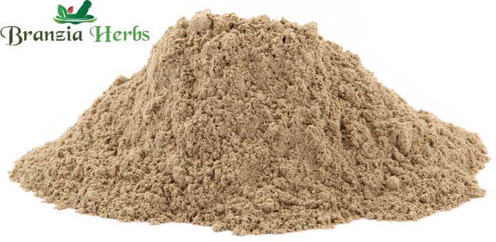 Motherwort Herb, Powder
