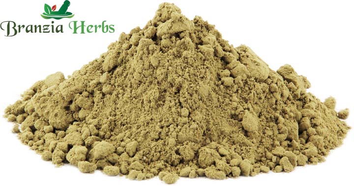 Boldo Leaves, Powder, 1 oz (Peumus boldus)