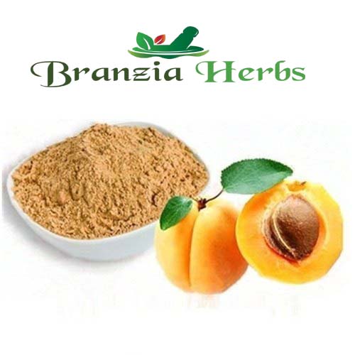 Apricot Powder