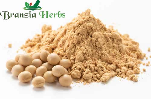 Soya isoflavone - Panacea Phytoextracts