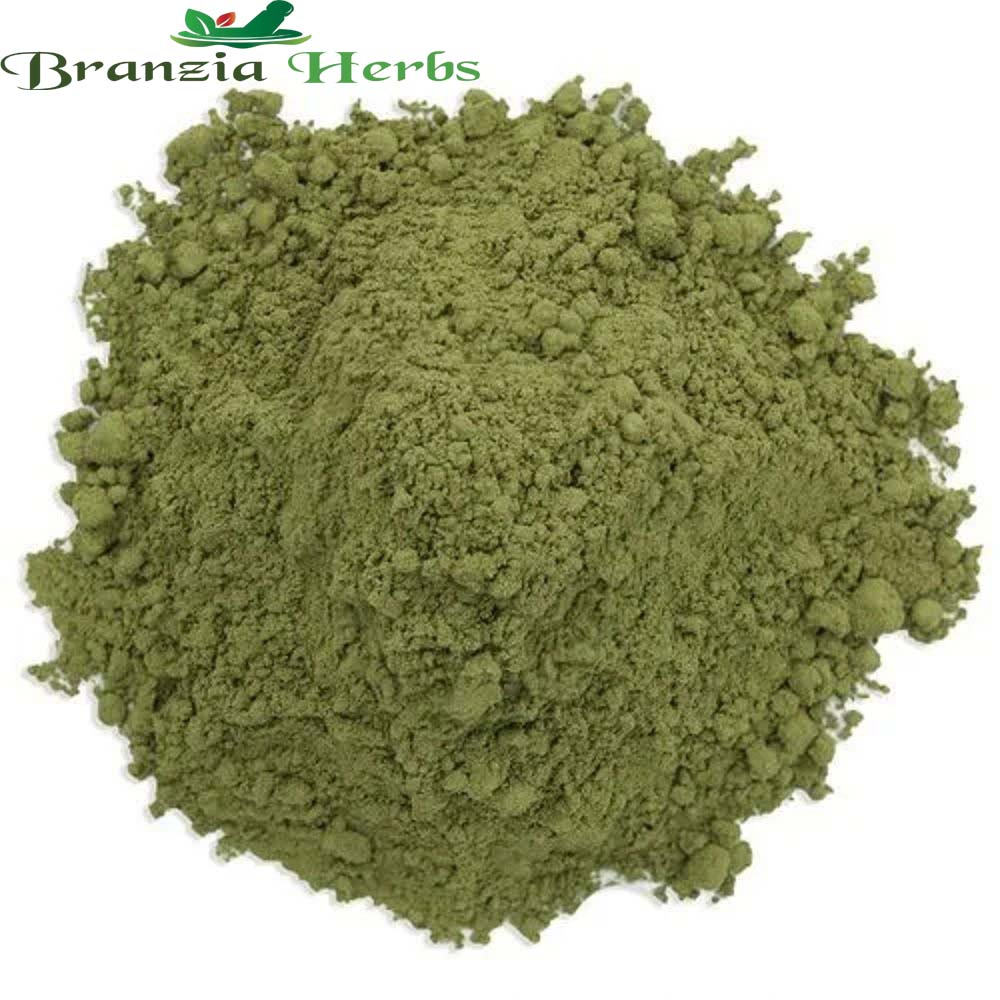 Uva ursi powder