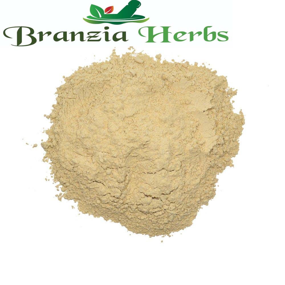 Astragalus Root powder