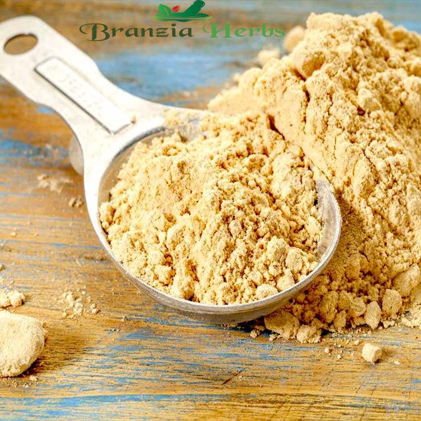 Avena Sativa | Raw Powder |