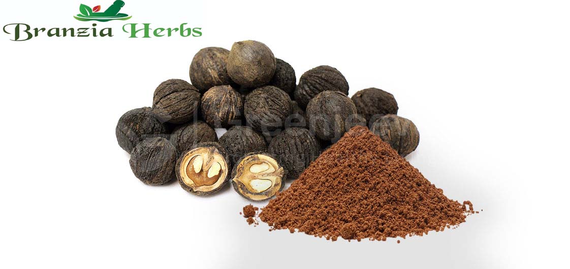 Black Walnut Hull Powder