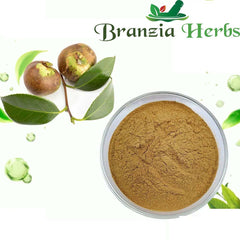 Camellia Oleifera Extract Powder