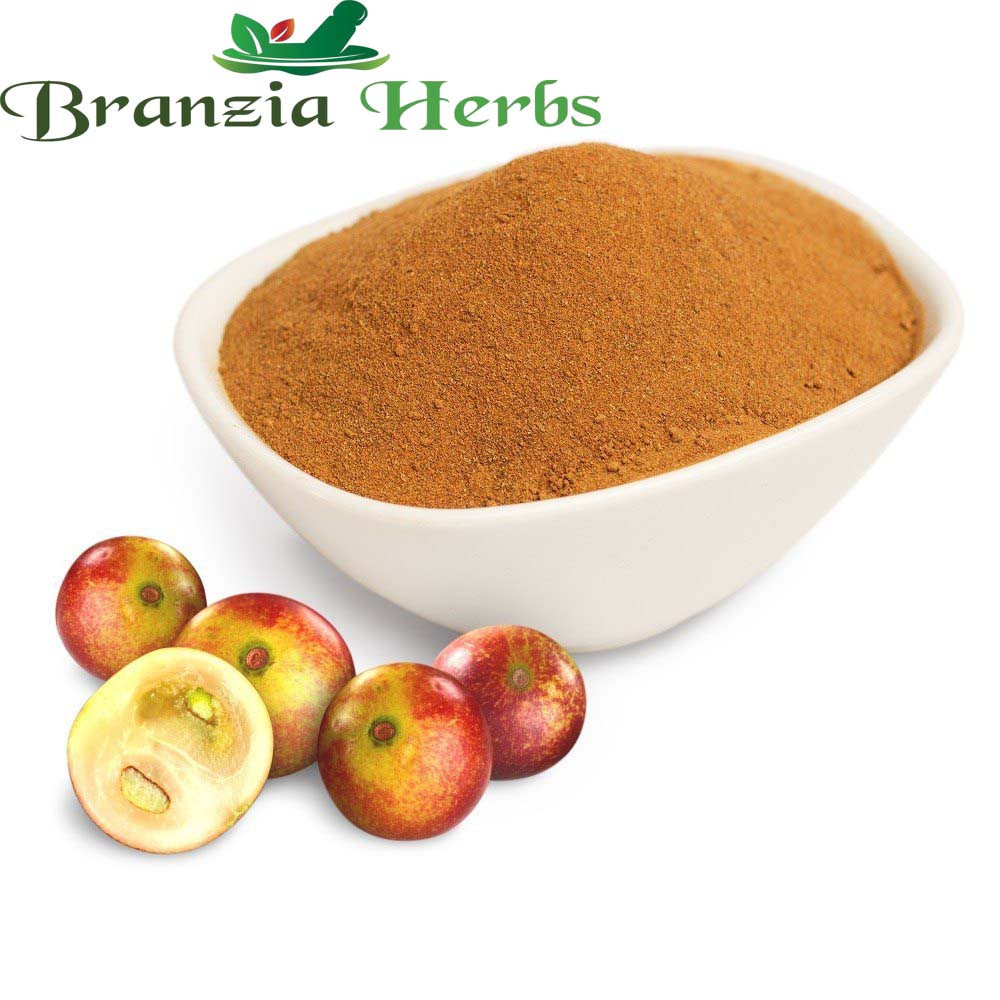 Brown Camu Camu Extract Powder