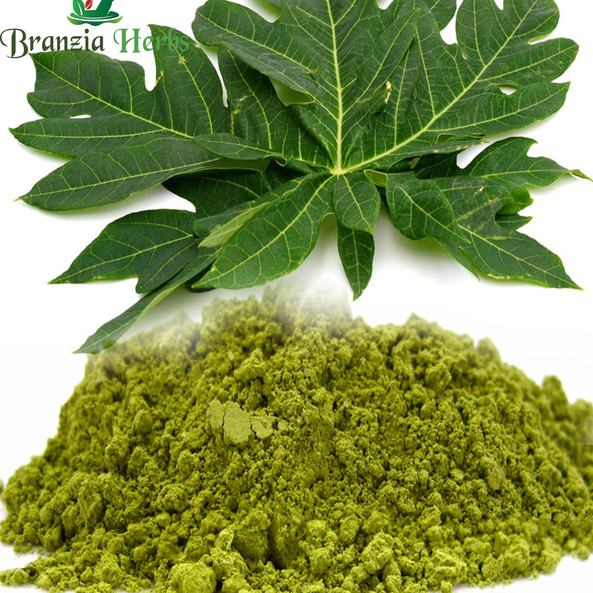 Carica papaya L ( Papaya leaves) Powder -