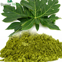 Carica papaya L ( Papaya leaves) Powder -