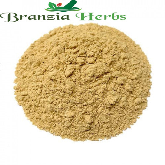 Chicory Pulp  powder