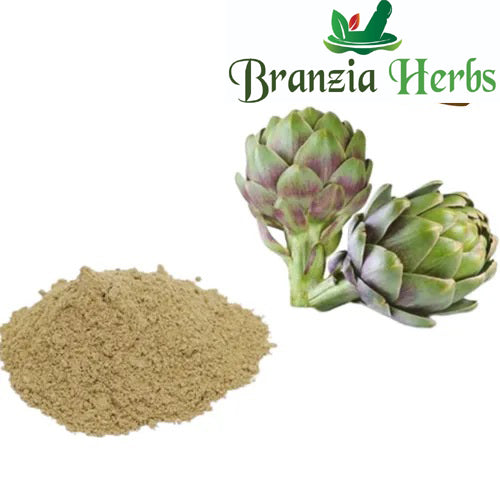 Cynara Scolymus Extract