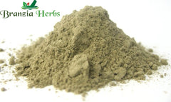 Echinacea Powder