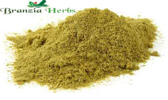 Ephedra Sinica Powder