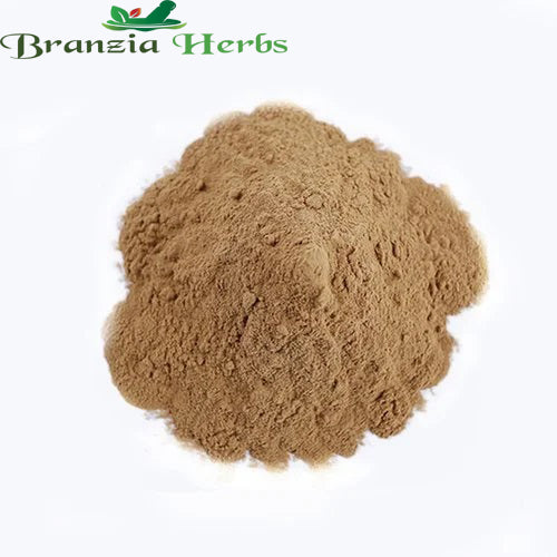 Equisetum Arvense powder
