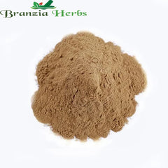 Equisetum Arvense powder