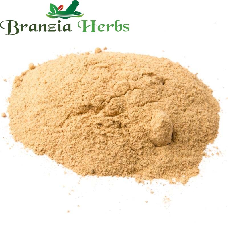 Dried Devil's Claw Powder (Harpagophytum procumbens)