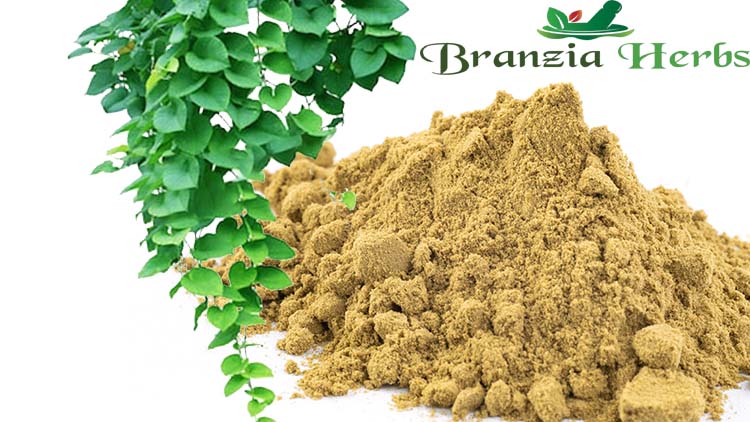 Natural Healing Powers of Hederacoside C (Ivy Leaf Extract)