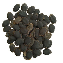 "Sponge Gourd Turai Tori | Vegetable Seeds " - Branzia Herbs