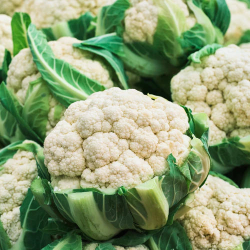 "Cauliflower Fool Gobhi F1 | Vegetable Seeds " - Branzia Herbs