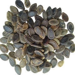 "Tinda Round Gourd | Vegetable Seeds " - Branzia Herbs