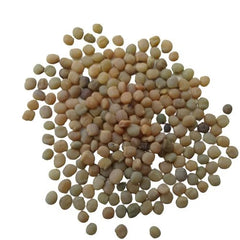 "Guar Phali Desi Seeds | Vegetable Seeds " - Branzia Herbs