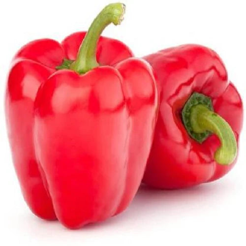 "Capsicum Shimla Red Mirch Imported | Vegetable Seeds " - Branzia Herbs