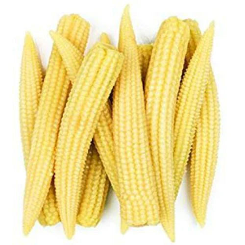 "Baby Corn Seeds | Vegetable Seeds " - Branzia Herbs