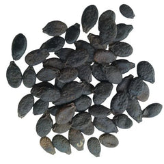 "Ridge Gourd Kharra Tauri Dhari Wali Seeds | Vegetable Seeds " - Branzia Herbs