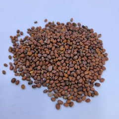 "Singra Mongra | Vegetable Seeds " - Branzia Herbs