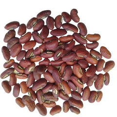 "Cowpea Lobia Beans | Vegetable Seeds " - Branzia Herbs