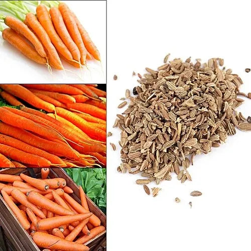 "Carrot Nantes | Vegetable Seeds