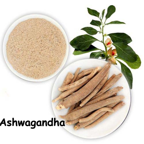 Organic Ashwagandha, Shatavari, Gokhru, Lodhra, Bala, Kapikachhu, Amalaki Powder 350 Gm Combo Pack 50 Gm Each Herb powder - Branzia Herbs