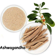 Organic Ashwagandha, Shatavari, Gokhru, Lodhra, Bala, Kapikachhu, Amalaki Powder 350 Gm Combo Pack 50 Gm Each Herb powder - Branzia Herbs