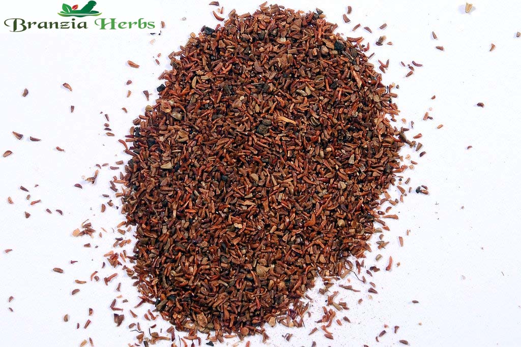 Eucalyptus/Nilgiri/Safeda Tree Seeds - Branzia Herbs