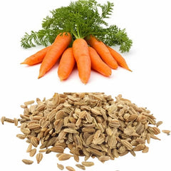 "Carrot Nantes | Vegetable Seeds
