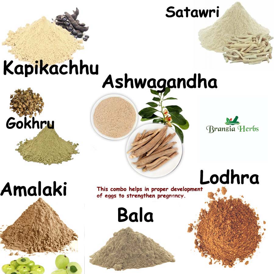 Organic Ashwagandha, Shatavari, Gokhru, Lodhra, Bala, Kapikachhu, Amalaki Powder 350 Gm Combo Pack 50 Gm Each Herb powder - Branzia Herbs