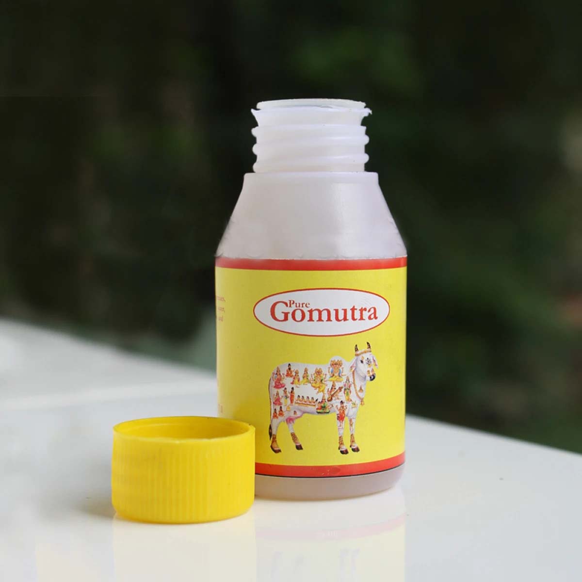 Desi Cow Urine (Gomutra) 200ml – Vrindavan Source for Puja, Abhishek & Yajna | Branzia Herbs