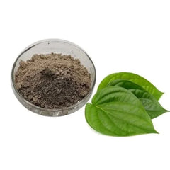 Natural Betel Leaf Powder | Finely Ground Paan Herbal Powder | Organic Leaf Powder
