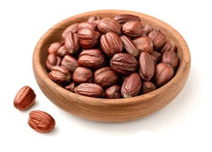 Dried Jojoba Seeds | Organic Jojoba Seed | Natural Ho-ho-ba Seeds | Premium Herbal Seeds