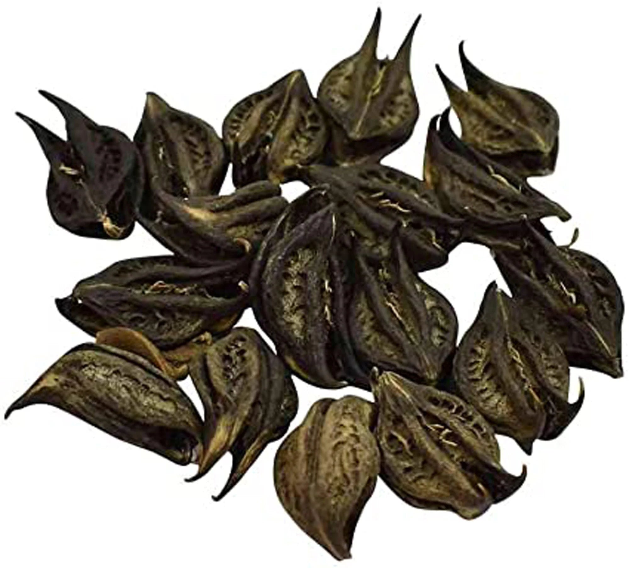 Bichhu Phal – Bicchu Fal – Biccho Phal – Kaknasa - Branzia Herbs