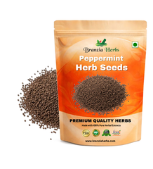 Peppermint Pudina Herb Seeds