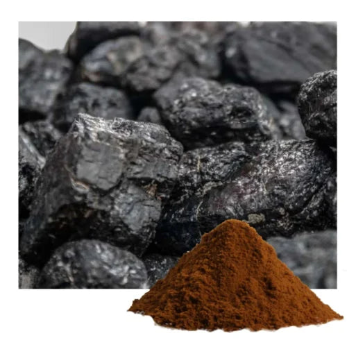 Shilajit Dry Extract powder - Branzia Herbs