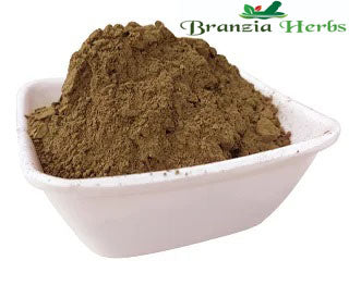 Reetha Powder (Sapindus Mukorossi) - Branzia Herbs