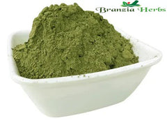 Tulsi (Basil) Powder (Ocimum Sanctum) - Branzia Herbs