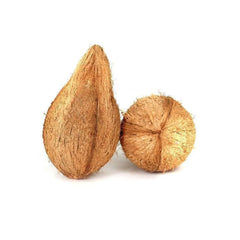 Original Ekakshi Nariyal | Ekakshee One Eye Coconut for Pooja & Spiritual Rituals